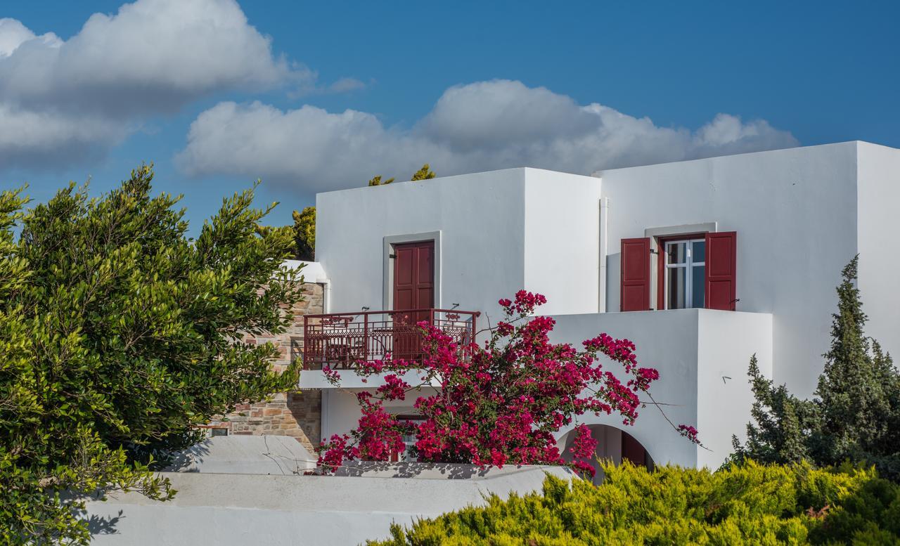 Naxos Palace Hotel Stelida  Luaran gambar